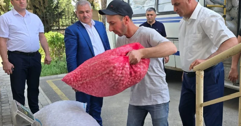 Tərtər kümçüləri mövsümün ilk günlərində 2400 kiloqramdan çox barama tədarük ediblər