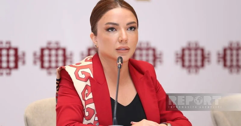 Айгюн Алиева: НПО как никогда активны по теме возвращения в Западный Азербайджан