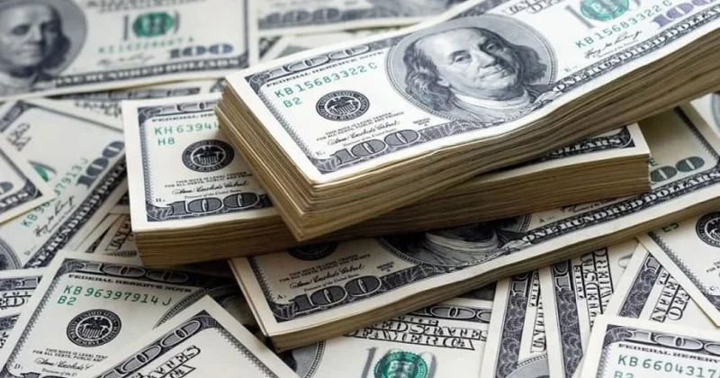 Avtomobilə sərnişin kimi əyləşən şəxsin 120 min dolları oğurlanıb VİDEO
