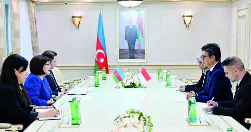 Milli Məclisdə görüşlər