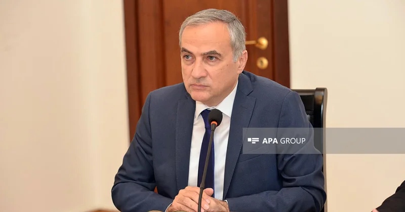 Fərid Şəfiyev: Bizə Ermənistanın sülh prosesinə referendumla münasibət bildirməyi lazımdır