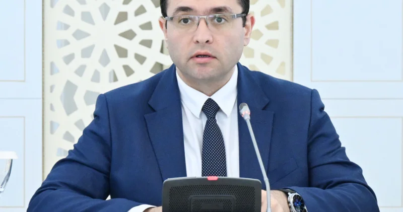 Продуктовые субсидии направлены на компенсацию расходов фермеров Меджнун Мамедов