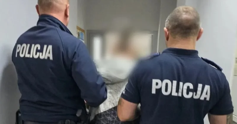 Polşada qanunsuz yaşayan 140 əcnəbi saxlanılıb