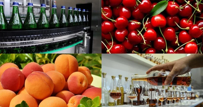 Армения выделит третий пакет субсидий компаниям для экспорта продукции в ЕС