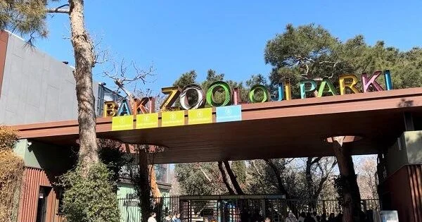 Bu qurum niyə 350 min manata siçan siçovul alır?