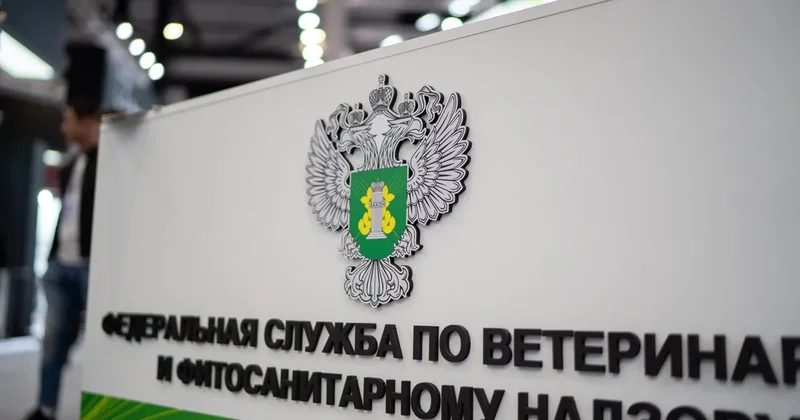 РФ запретила ввоз подкарантинных товаров из Армении