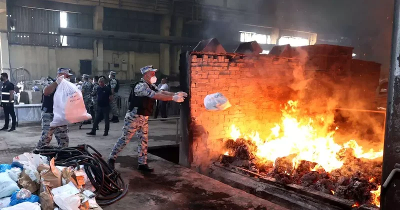 В Азербайджане сожгли 5 тонн наркотиков и десятки тысяч кустов конопли Minval Politika