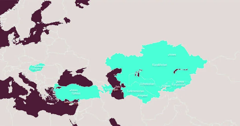 Türk dövlətləri və yeni dünya düzəni