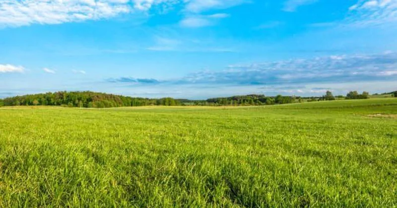 Agricultural production in Tajikistan s Penjikent grows