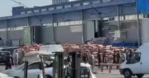 OMON un Moskvada azərbaycanlılara qarşı əməliyyat keçirildiyi iddia olunur VİDEO