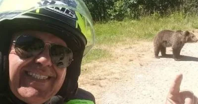 Ayı turist ilə selfi çəkdirdikdən sonra onu parçaladı