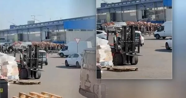 Azərbaycanlılar Moskva bazarında kütləvi saxlanıldı Video