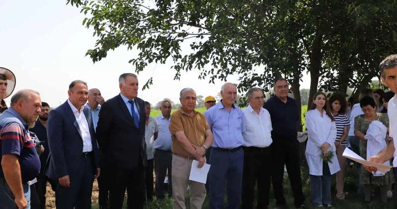 Günəbaxan bitkisinin becərilməsində yeni texnologiyaların tətbiqi” mövzusunda tarla seminarı keçirilib