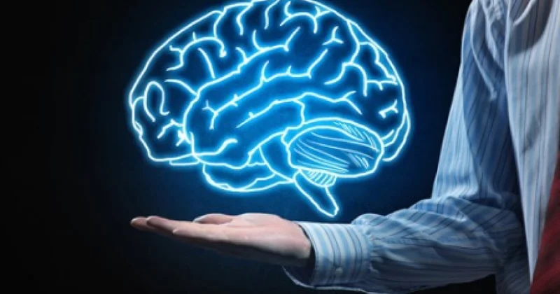 Beynin bioloji yaşı uzunömürlülüyü müəyyən edir ARAŞDIRMA
