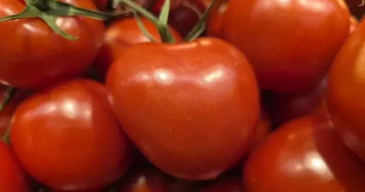 Mayonezlə pomidor yesəniz nə baş verər?
