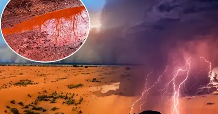 Göydən qan yağır? Küçələri qırmızıya boyayan və bütün Avropanı təşvişə salan sirr