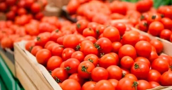 Kənd təsərrüfatında məhsul bolluğu problemə çevrilib: Azərbaycan Körfəz ölkələrinə üz tuta bilər...