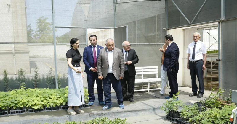 Deputatlar Meyvəçilik və Çayçılıq Elmi Tədqiqat İnstitutunun fəaliyyət istiqamətləri ilə tanış olublar