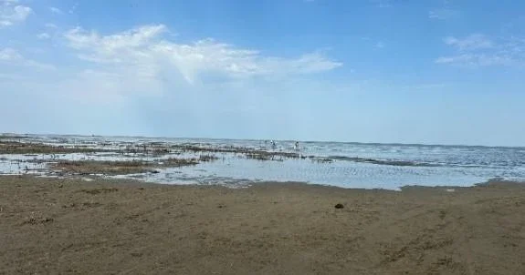 Каспийское море отступает: экологическая катастрофа разворачивается на глазах ученых