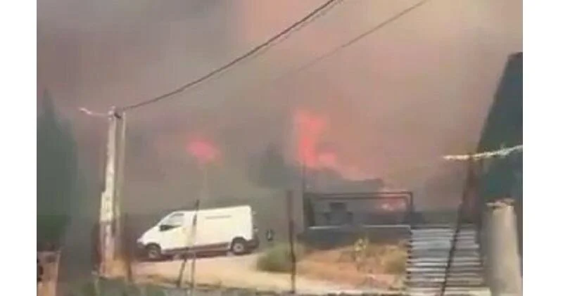 Лесные пожары бушуют в испанской провинции Леон ВИДЕО