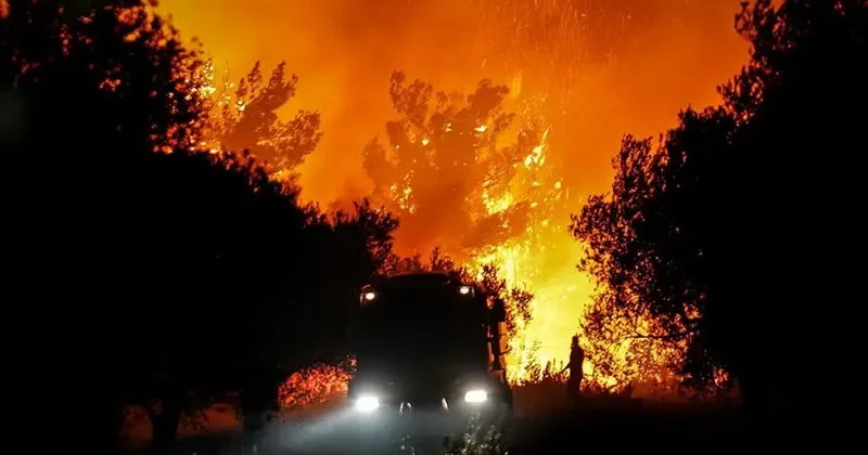 Çanaqqalada daha bir yanğın