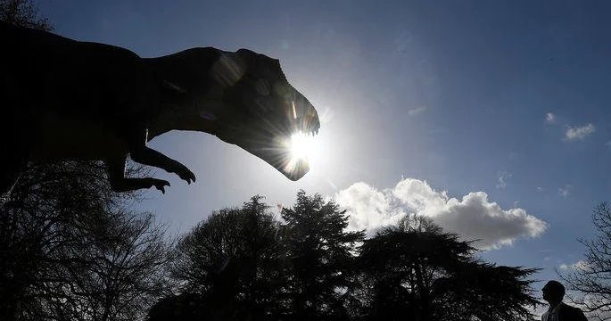 ŞOK! Sel 110 milyon illik dinozavr izlərini aşkara çıxardı