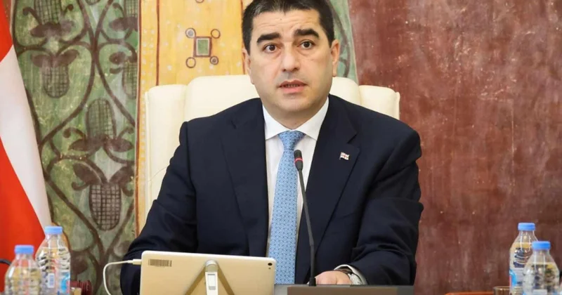 Papauşvili: Ermənistan Azərbaycan Birgə Bəyannaməsi Cənubi Qafqaz xalqlarının rifahının yaxşılaşmasına xidmət edir