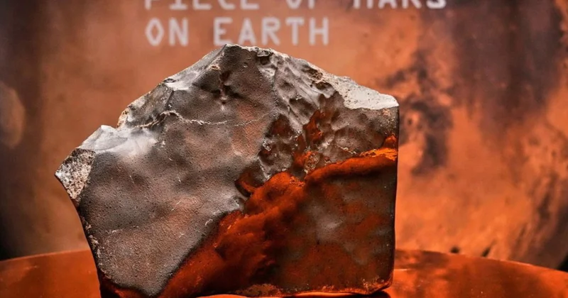 Niger nəhəng Mars meteoritinin satılması üzrə təhqiqat aparmağı tələb edir