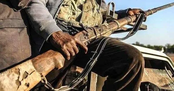 Nigeriyada 100 dən çox silahlı dəstə üzvü öldürülüb