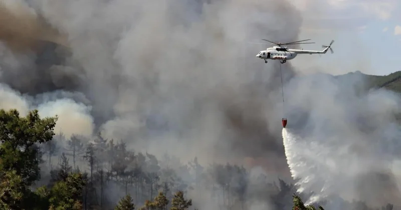 Çanaqqalada yanğın: 9 təyyarə, 10 helikopter, 685 xilasetmə