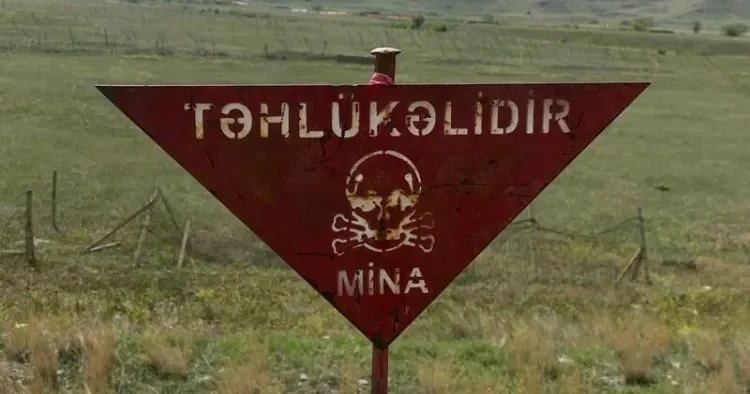 1504 hektar ərazi minalardan təmizlənib