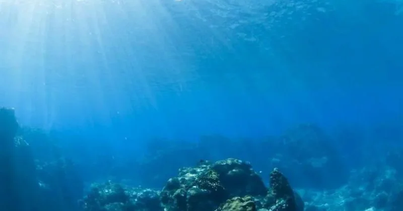 Dünya okeanları rekord səviyyədə isindi: Planeti nə gözləyir?