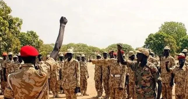 Nigeriyada terrorçulara qarşı xüsusi əməliyyat keçirilib