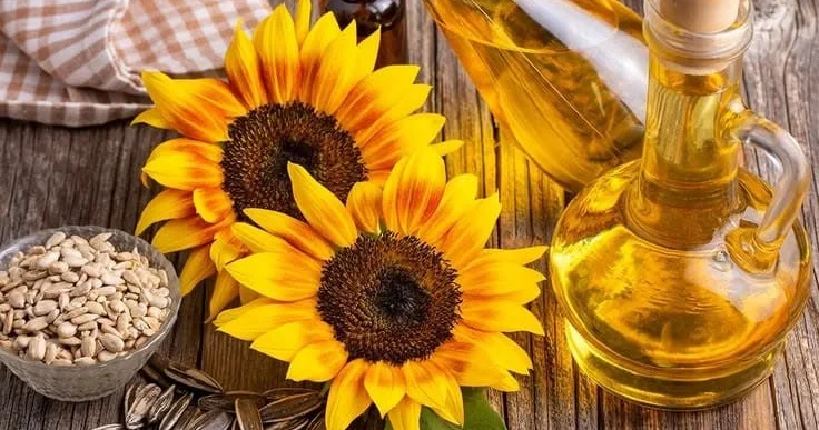 Zərəri vitaminindən çoxdur Soyuq sıxım günəbaxan yağlarındakı GİZLİ TƏHLÜKƏ