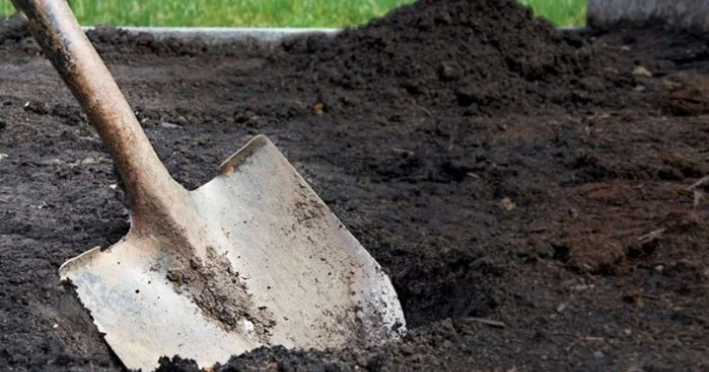 Şüvəlanda anasını öldürüb həyətdə basdıran oğultutuldu