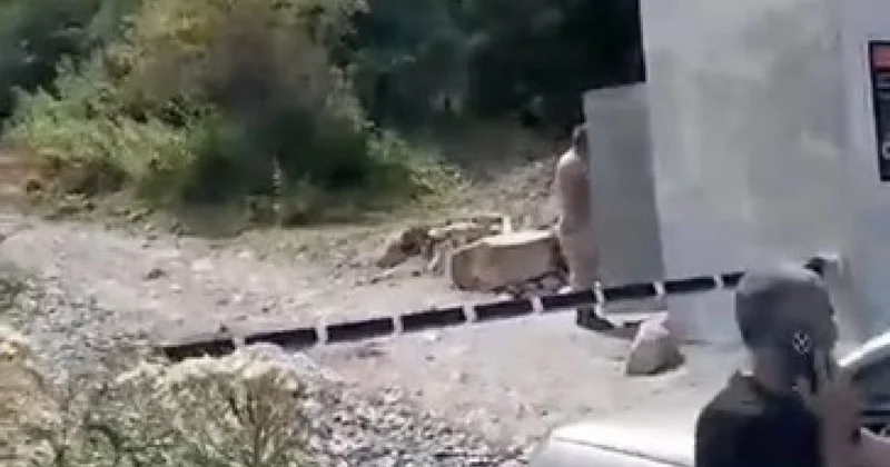 Дорогу еще не построили, а шлагбаум к водопаду в Илису уже установили. А это вообще законно? наши проблемы