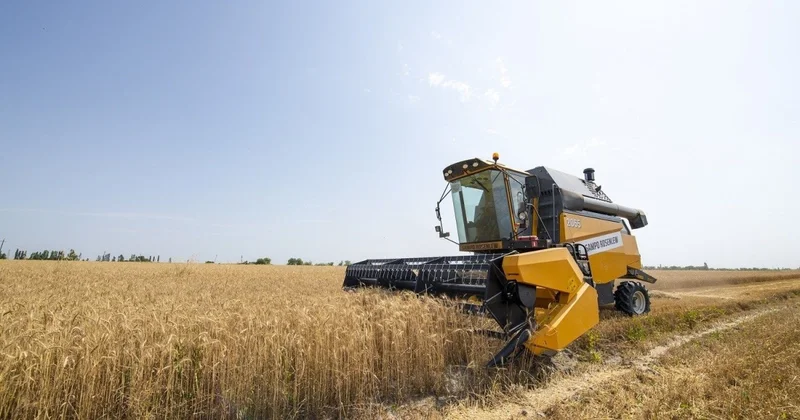 Azərbaycanda taxıl sahələrinin 93% i biçilib, 3,1 mln. ton məhsul yığılıb