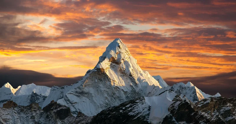 Everest zirvəsində dəniz canlılarının qalıqları tapıldı