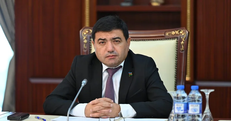 Число дипломатических представительств Азербайджана составит 93