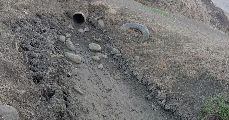 Masallının Qədirli kəndi ciddi su qıtlığı ilə üzləşib FOTO