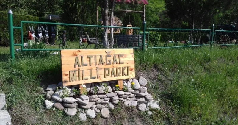 Altıağacın piknik ərazisini icarəyə verdilər Giriş üçün əlavə pul yığılır