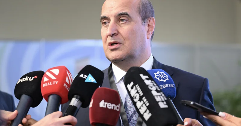 Xidmət rəisi: Kür çayında balıqların ölüm səbəbi suyun çirklənməsi olmayıb