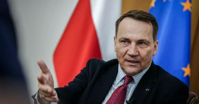 Сикорский: НАТО еще не принимало решений о сбитии целей РФ над Украиной