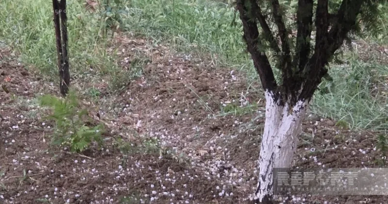 Naxçıvana leysan və dolu yağır