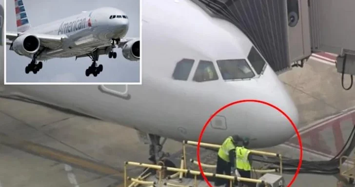 American Airlines прервал полет из за столкновения с птицами