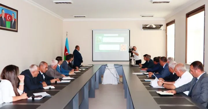 Naxçıvanda yüksək əkin subsidiyası məbləğləri təyin edilib