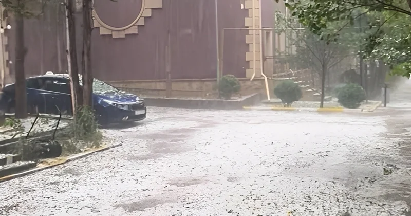 Gədəbəyə dolu düşüb