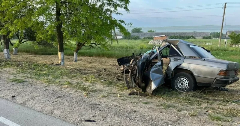 В Габале Mercedes врезался в дерево: пассажир скончался на месте