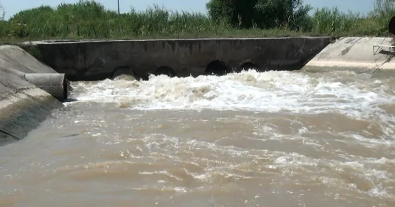 В водном канале в Сальяне обнаружен труп