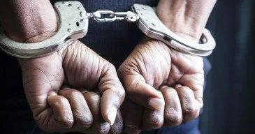 Во Франции растет число задержанных во время антимакроновских протестов